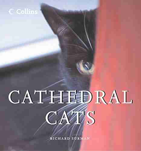 Cathedral Cats Richard Surman