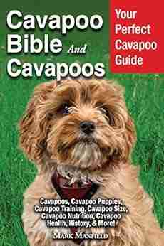 Cavapoo Bible and Cavapoos: Your Perfect Cavapoo Guide Cavapoos Cavapoo Puppies Cavapoo Training Cavapoo Size Cavapoo Nutrition Cavapoo Health History More