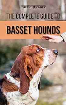 The Complete Guide to Basset Hounds: Choosing Raising Feeding Training Exercising and Loving Your New Basset Hound Puppy