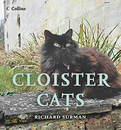 Cloister Cats Richard Surman