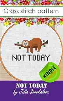 Cross Stitch Patterns For Beginners Funny Sign Not Today Sloth Lasy Hand Embroidery Design For Adults