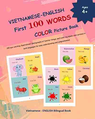 VIETNAMESE ENGLISH First 100 WORDS COLOR Picture (VIETNAMESE Alphabets and VIETNAMESE Language Learning 4)