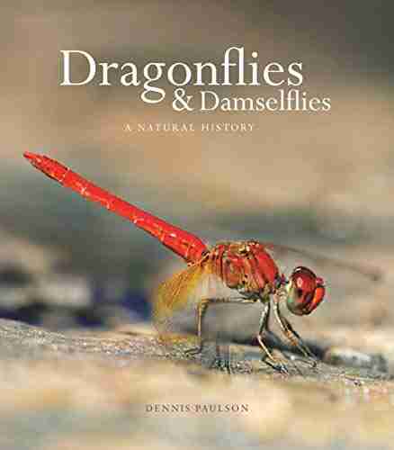 Dragonflies And Damselflies: A Natural History