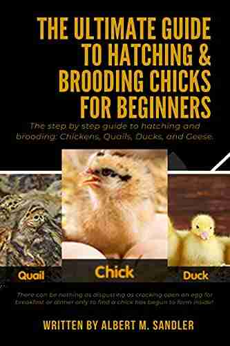 The Ultimate Guide To Hatching Brooding Chicks For Beginners: The Step By Step Guide To Hatching And Brooding: Chickens Quails Ducks And Geese