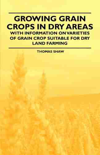 Growing Grain Crops In Dry Areas With Information On Varieties Of Grain Crop Suitable For Dry Land Farming