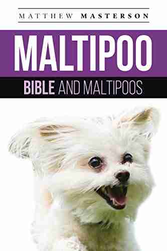 Maltipoo Bible And Maltipoos: Your Perfect Maltipoo Guide Maltipoo Maltipoos Maltipoo Puppies Maltipoo Dogs Maltipoo Breeders Maltipoo Care Maltipoo Training Health Behavior Grooming More