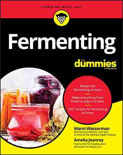 Fermenting For Dummies Marni Wasserman