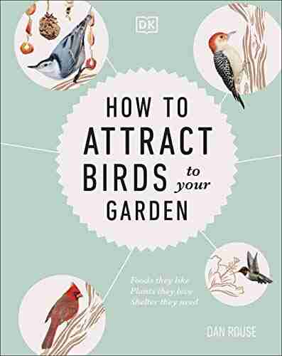 How To Attract Birds To Your Garden: Foods They Like Plants They Love Shelter They Need