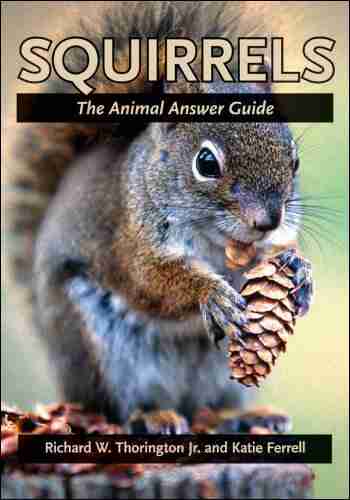 Squirrels: The Animal Answer Guide (The Animal Answer Guides: Q A For The Curious Naturalist)