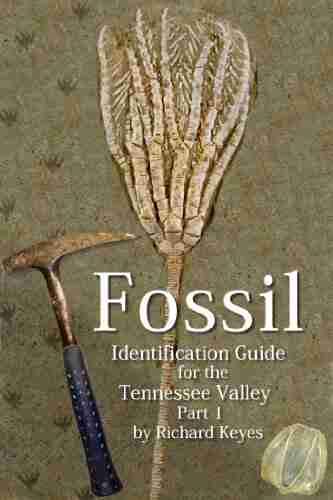 Fossil Identification Guide for the Tennessee Valley Part 1