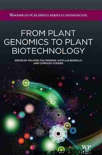 From Plant Genomics To Plant Biotechnology (Woodhead Publishing In Biomedicine 53)