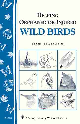 Helping Orphaned Or Injured Wild Birds: Storey S Country Wisdom Bulletin A 210 (Storey Country Wisdom Bulletin)