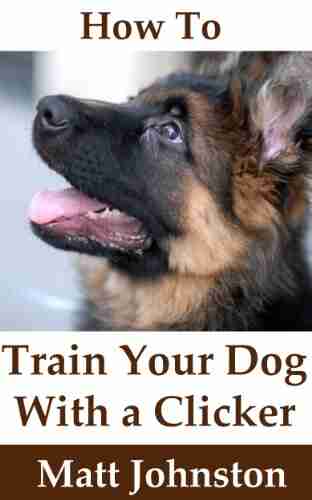 How To Train Your Dog With A Clicker (It S All About Dogs 2)