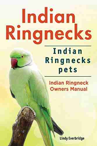 Indian Ringnecks As Pets Indian Ringnecks Indian Ringneck Care