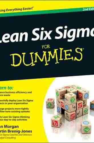 Lean Six Sigma For Dummies