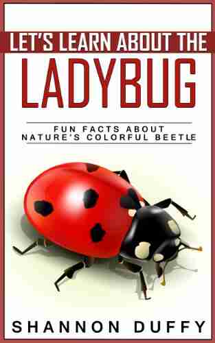 Let s Learn About the Ladybug Fun Facts About Nature s Colorful Beetle