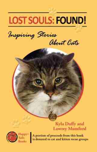 Lost Souls: Found Inspiring Stories About Cats