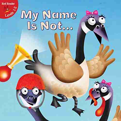 My Name Is Not (Little Birdie Books)