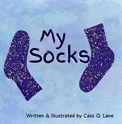 My Socks Leslie Connor