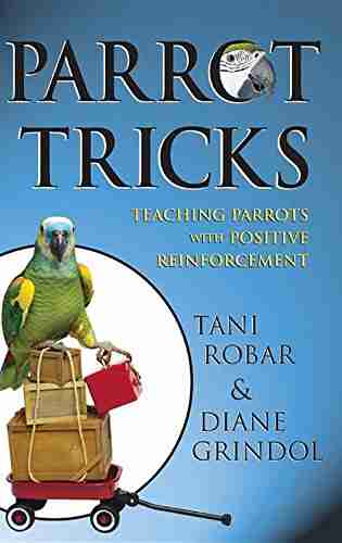 Parrot Tricks: Teaching Parrots With Positive Reinforcement