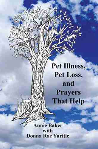 Pet Illness Pet Loss and Prayers That Help