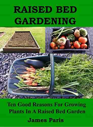 Raised Bed Gardening Ten Good Reasons For Growing Vegetables In A Raised Bed Garden (No Dig Gardening Techniques)