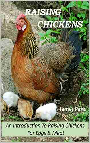 Raising Chickens: An Introduction To Raising Chickens For Eggs and Meat