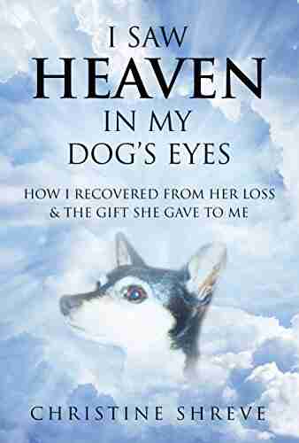 I SAW HEAVEN IN MY DOG S EYES: How I Recovered From Her Loss The Gift She Gave To Me