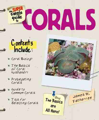 Super Simple Guide Corals (Super Simple Guide To )