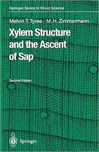 Xylem Structure And The Ascent Of Sap (Springer In Wood Science)