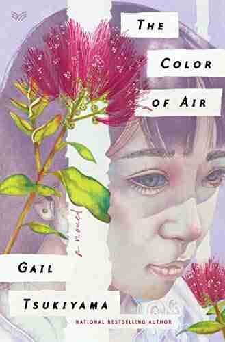 The Color Of Air: A Novel