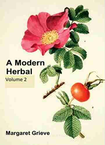 A Modern Herbal (Volume 2) James W Robinson