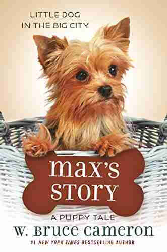 Max S Story: A Puppy Tale