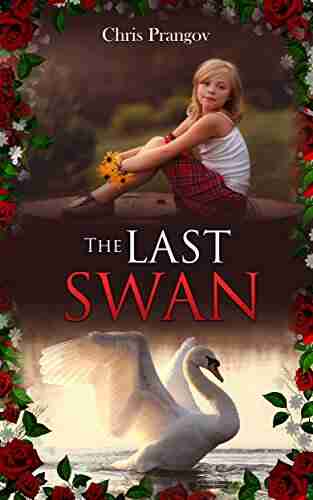 The Last Swan Agustin Galan