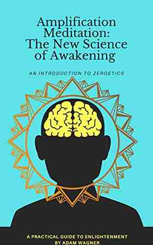 Amplification Meditation: The New Science of Awakening (The Folly of Youth 1)