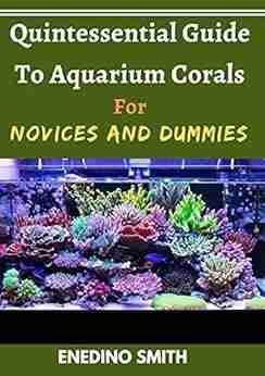 Quintessential Guide To Aquarium Corals For Novices And Dummies