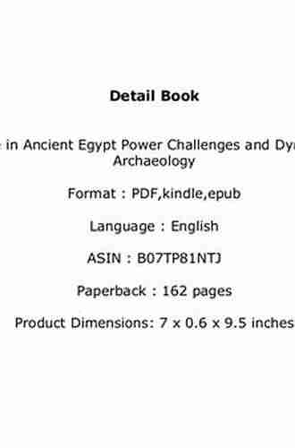 The State In Ancient Egypt: Power Challenges And Dynamics (Debates In Archaeology)