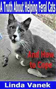 A Truth About Helping Feral Cats And How To Cope