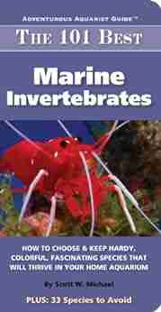 101 Best Marine Invertabrates (Adventurous Aquarist Guide)