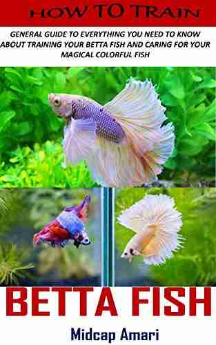 HOW TO TRAIN BETTA FISH: General Guide To Everything You Need To Know About Training Your Betta Fish And Caring For Your Magical Colorful Fish