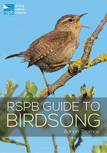 RSPB Guide To Birdsong (RSPB Spotlight)