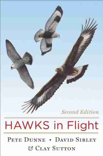 Hawks In Flight: Second Edition