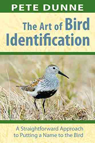 The Art Of Bird Identification: A Straightforward Approach To Putting A Name To The Bird