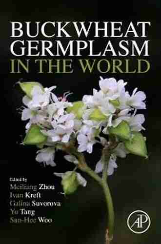 Buckwheat Germplasm In The World