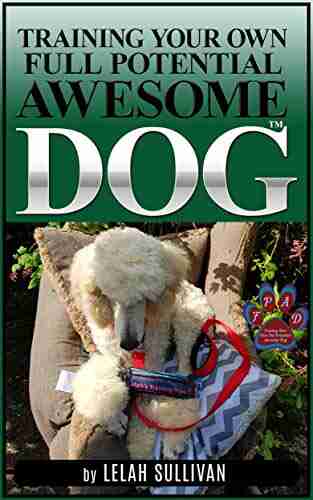 Training Your Own Full Potential Awesome Dog: Service Dog Quality Training for Pet Dogs