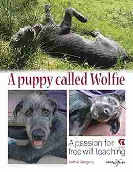 A Puppy Called Wolfie: A Passion For Free Will Teaching