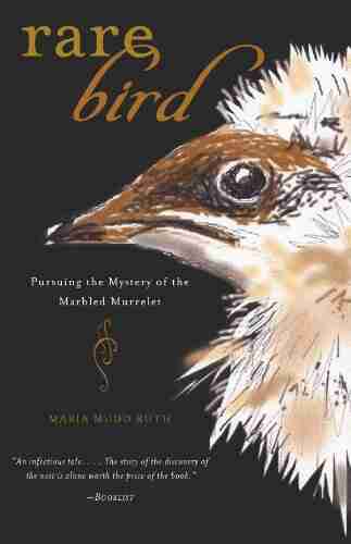 Rare Bird: Pursuing the Mystery of the Marbled Murrelet