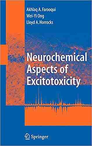 Neurochemical Aspects Of Excitotoxicity Akhlaq A Farooqui