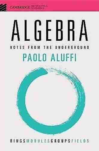 Algebra: Notes From The Underground (Cambridge Mathematical Textbooks)