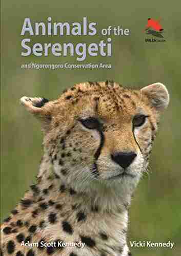 Animals Of The Serengeti: And Ngorongoro Conservation Area (Wildlife Explorer Guides)